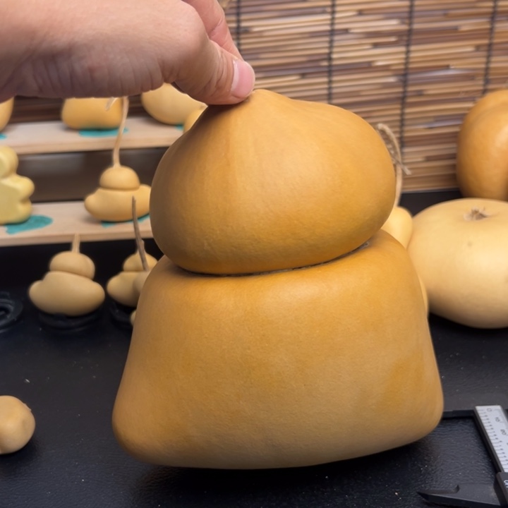 张*七葫芦葫芦葫芦葫芦葫芦葫芦