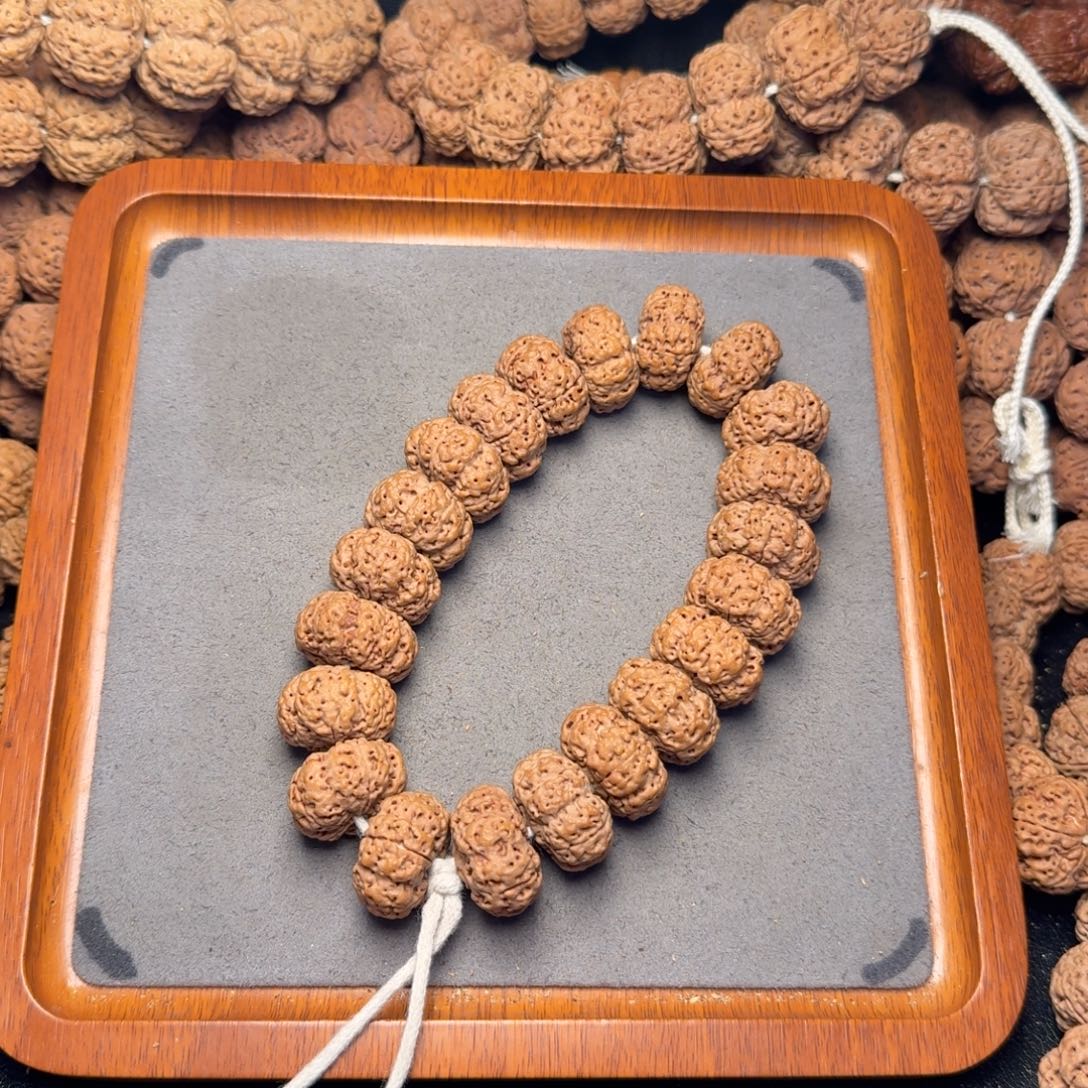 10号尼泊尔大金刚22.5-23五星蜂王夹板手持