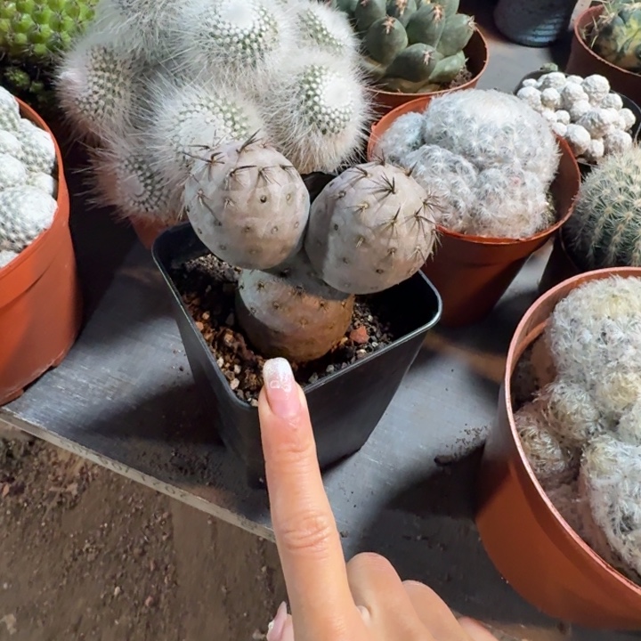 朝***发一哈你去看一下哈哈哈