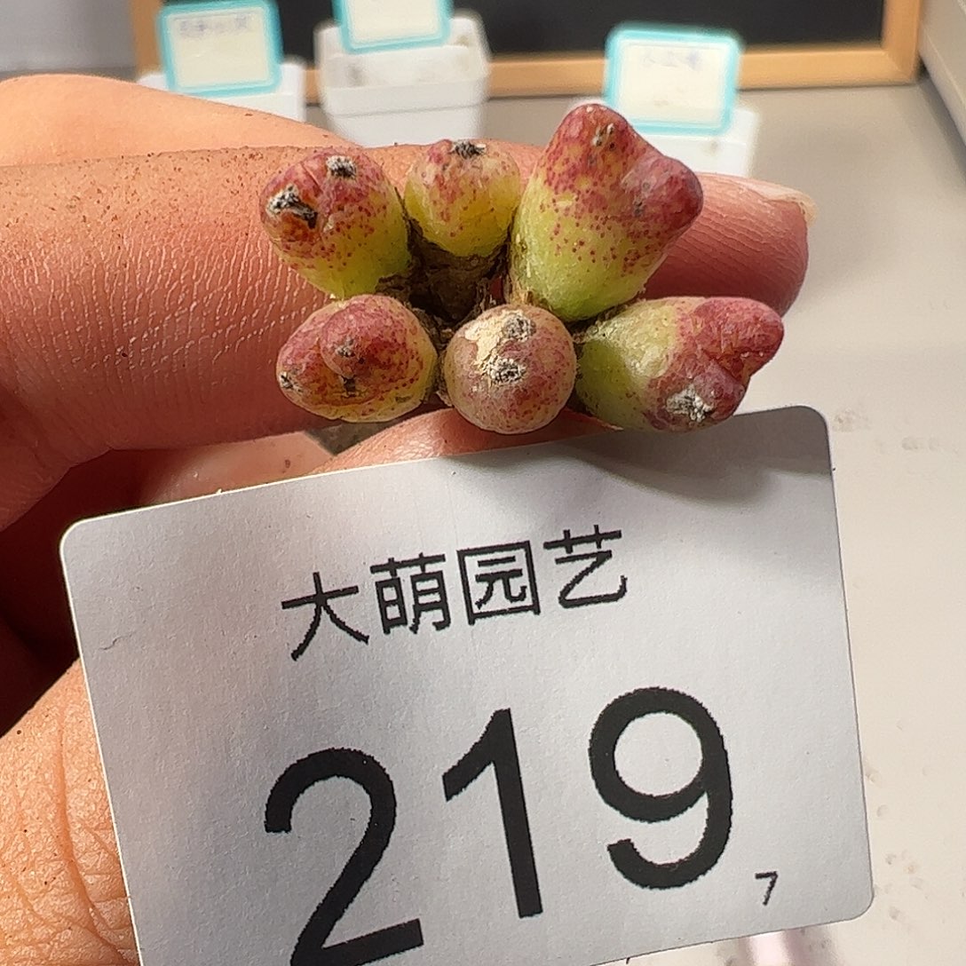 0000219 一物一拍……