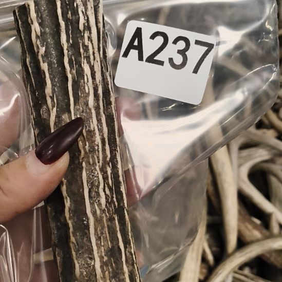 熊****鹿角鹿角鹿角鹿角鹿角