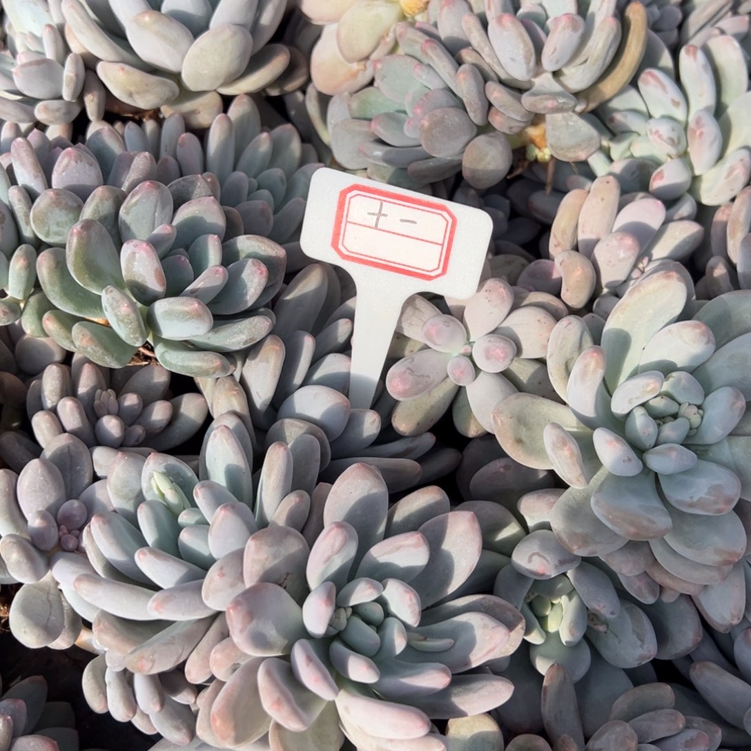 十***•十一69。          