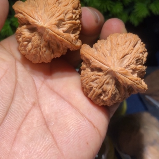 【闪购商品】吊坠文玩核桃抖***态南疆