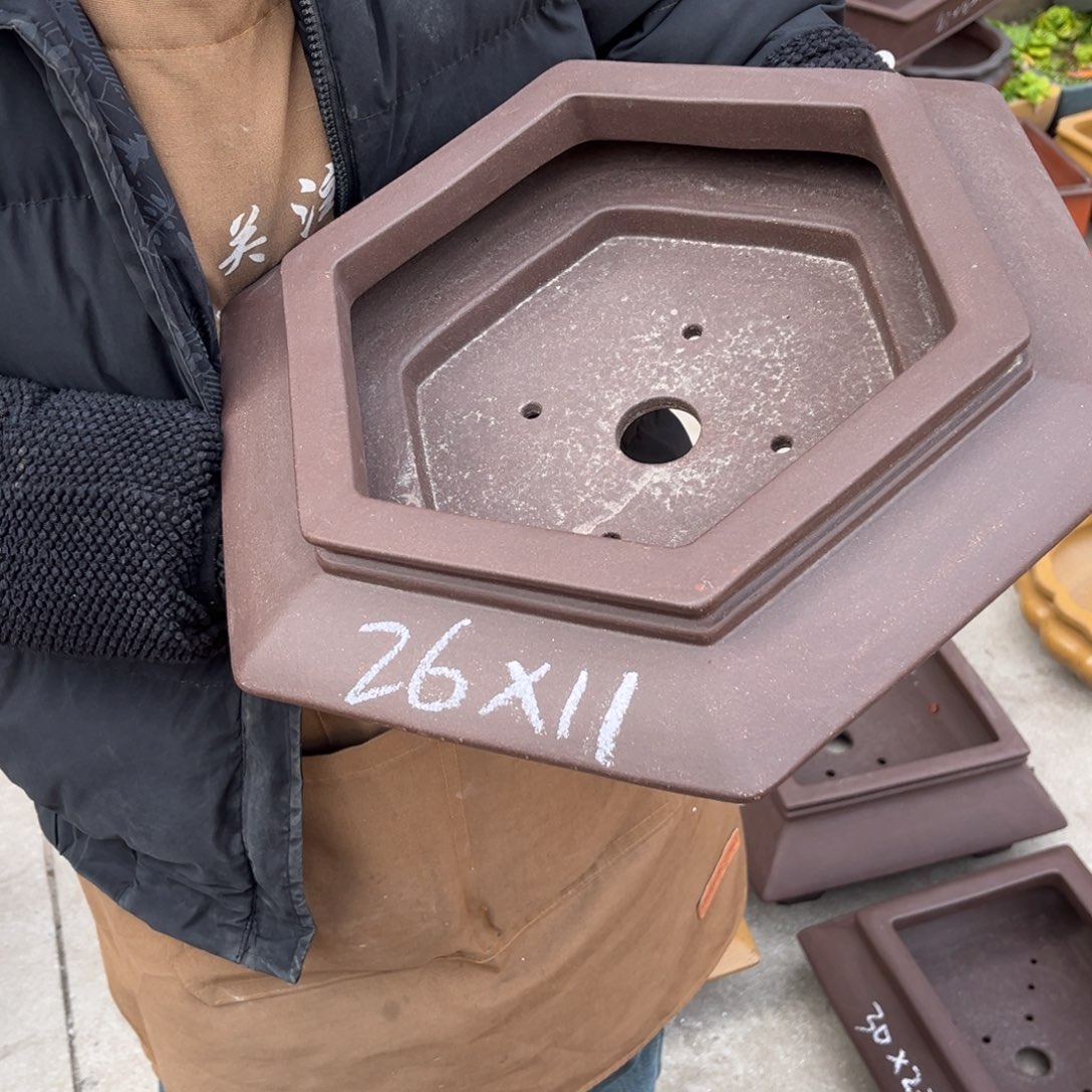 紫砂花盆盆景艺术