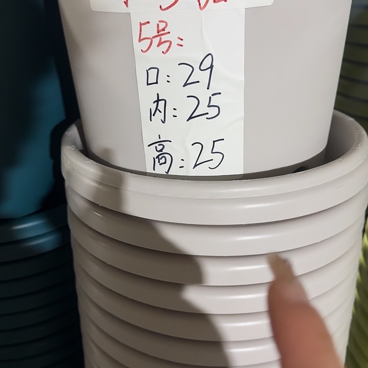 四季5号灰白无托10个特价