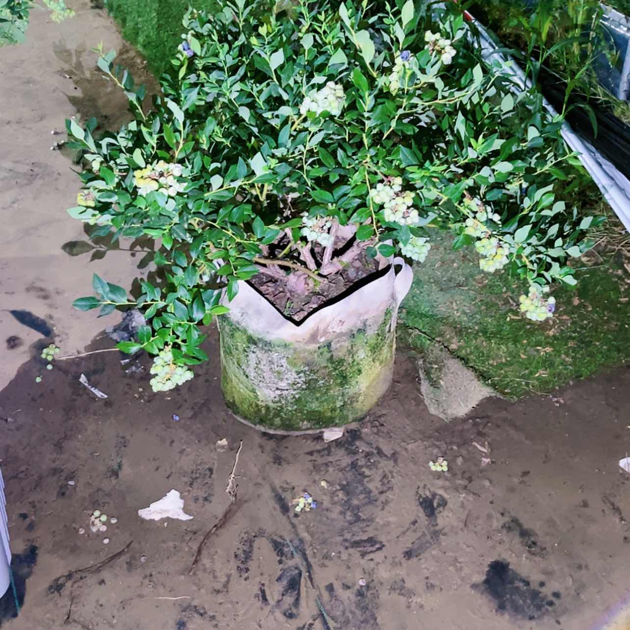 【闪购商品】完全开放
