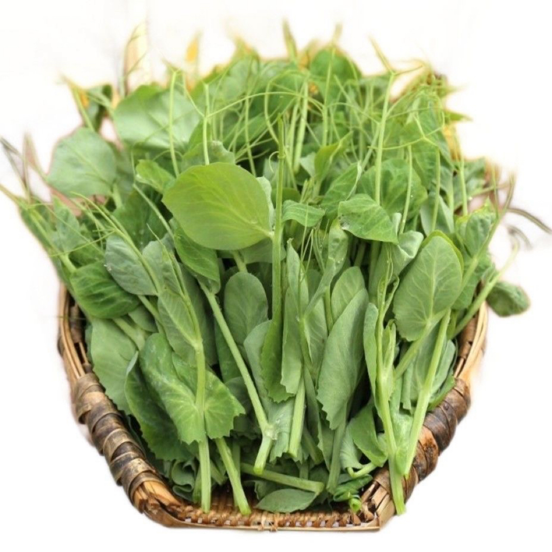豌豆尖重庆四川高山农家新鲜豌豆尖应季蔬菜现摘美味