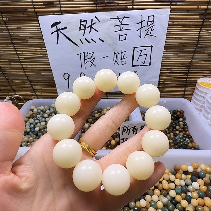 吊坠菩提根/象牙果