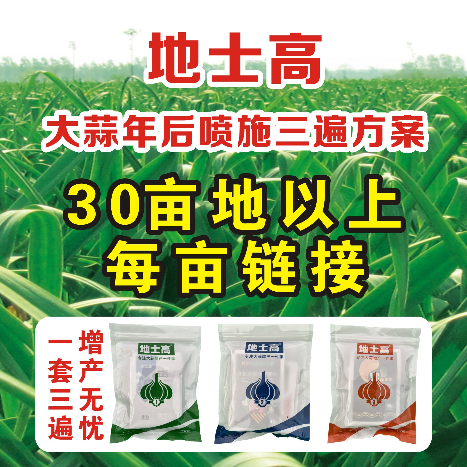 【30亩以上】大蒜年后叶面喷施方案三遍壮根提苗防病增产活杆成熟