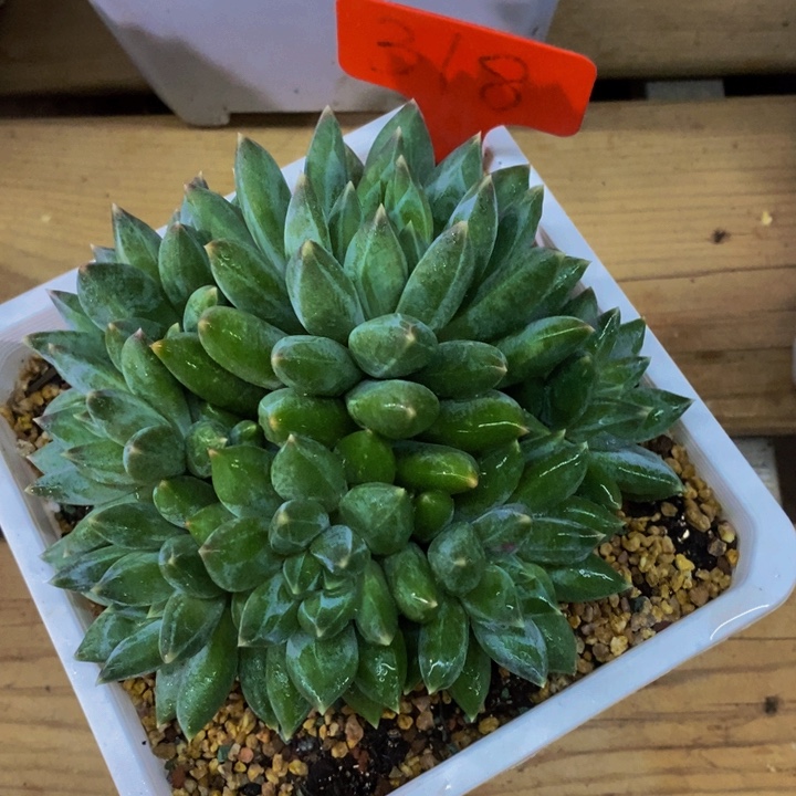 是吗这不还没有下班我