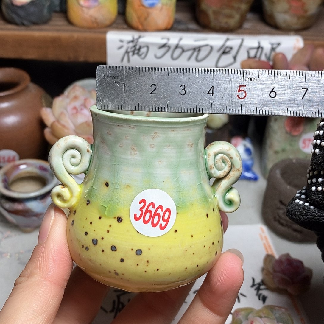 红陶拍5送一个小