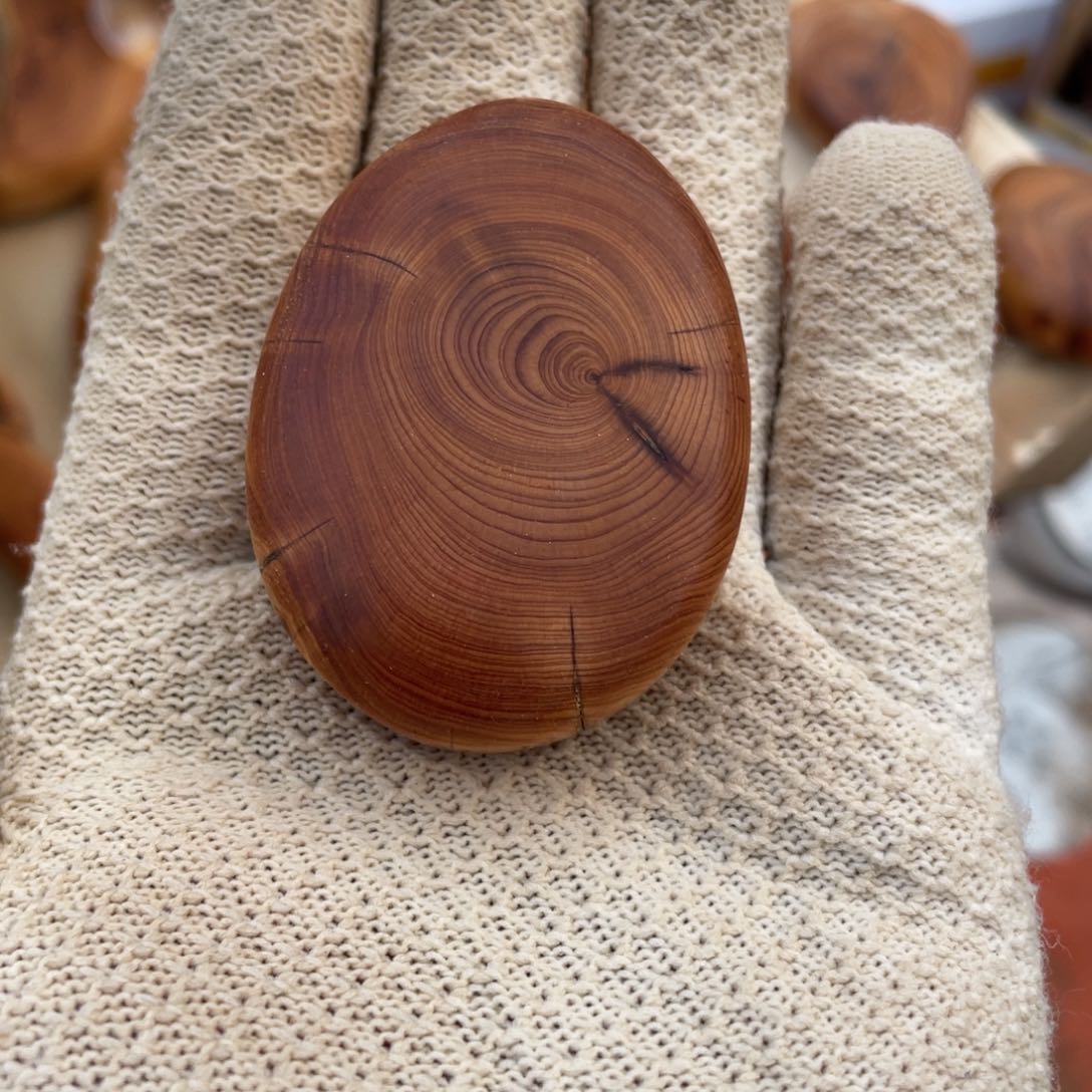 柏木海*海手串等多种