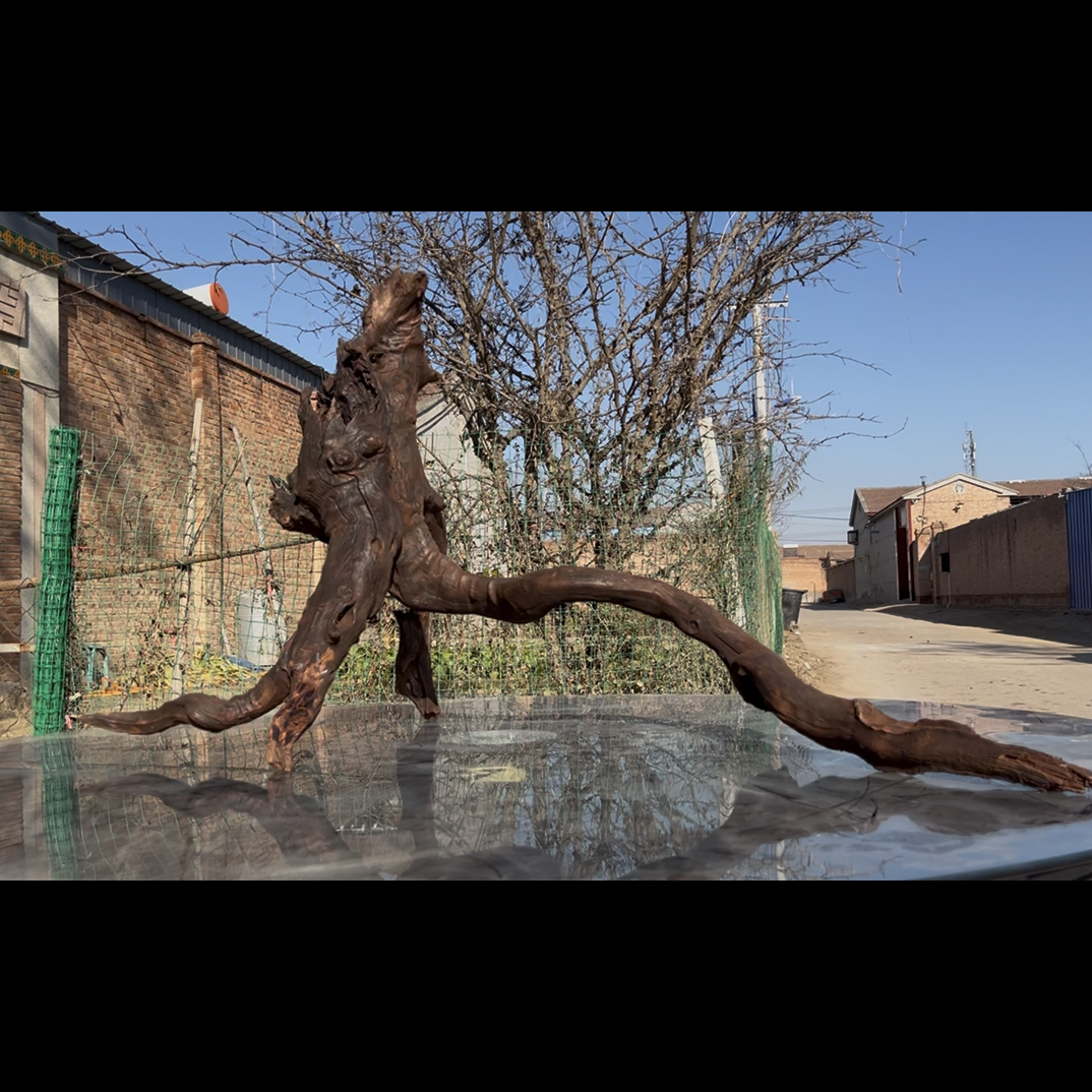 尺寸：115✖️48✖️58，鱼缸造景沉木摆件，紫柚木，秒沉水，包煮，南美缸