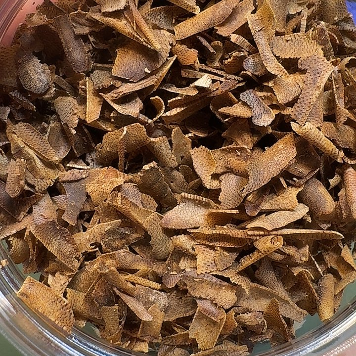 选***症沉香沉香碎屑海南高端金丝油白棋树心油切片老料31.6克