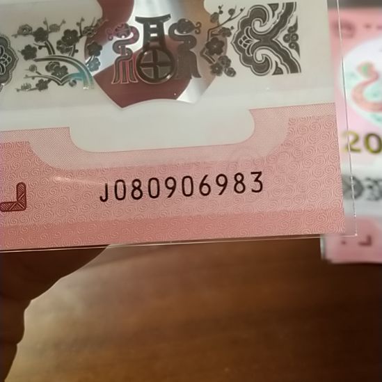塑料蛇纪念钞 080906983