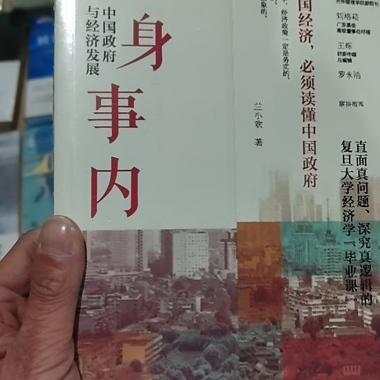 置身事内置身事内