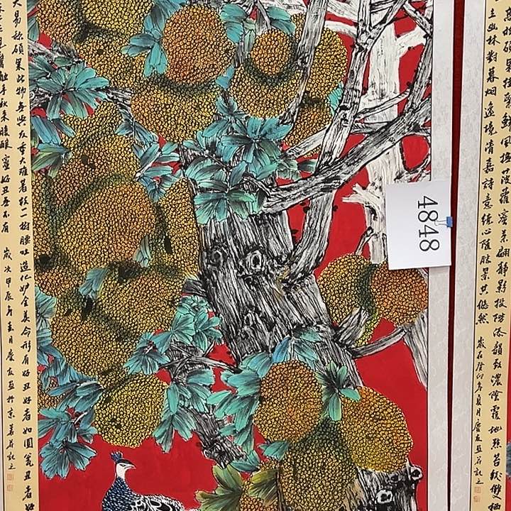 横款新号开播欣赏一下吧