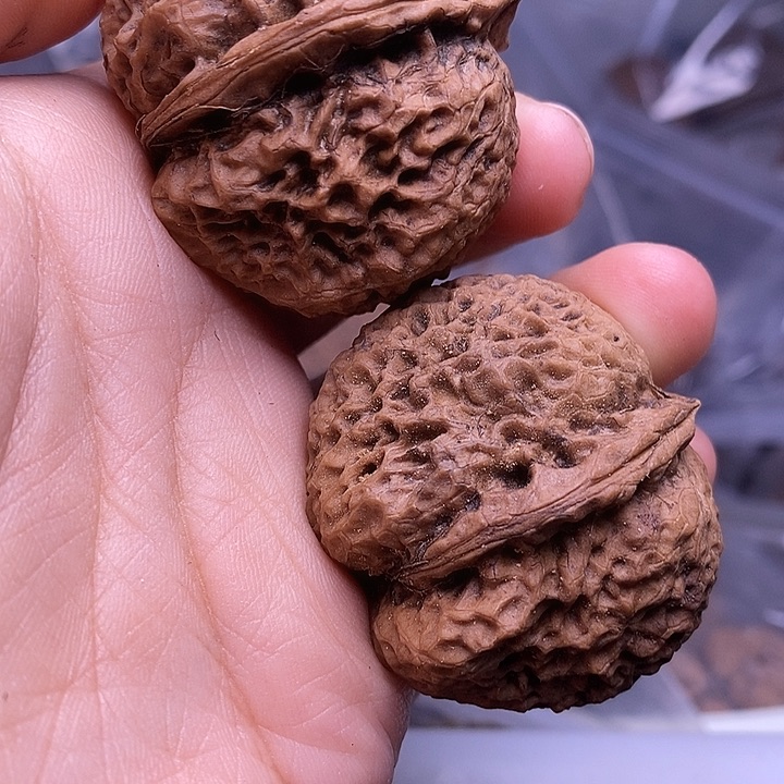 半***狸吊坠文玩核桃   197