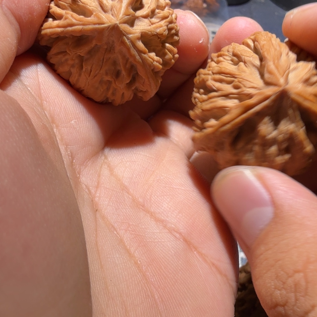 麦***堡猴头核桃把件御龙正奔