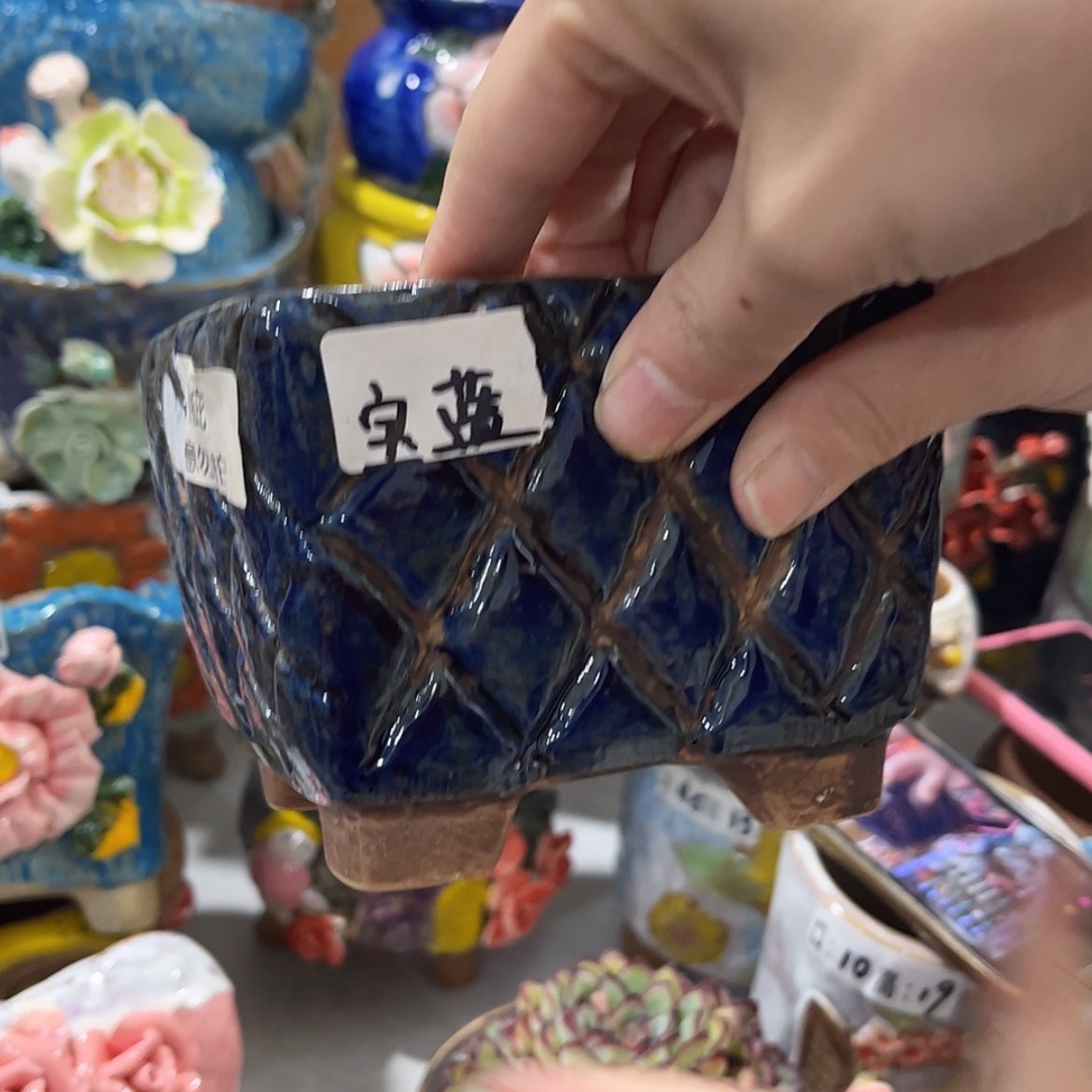 【闪购商品】红陶蓝色