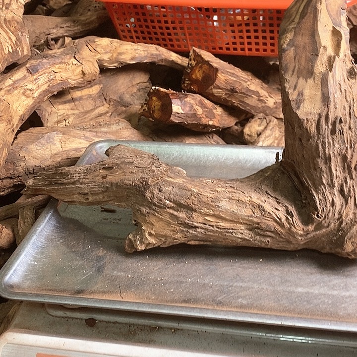 花梨木类广**木海南黄花梨