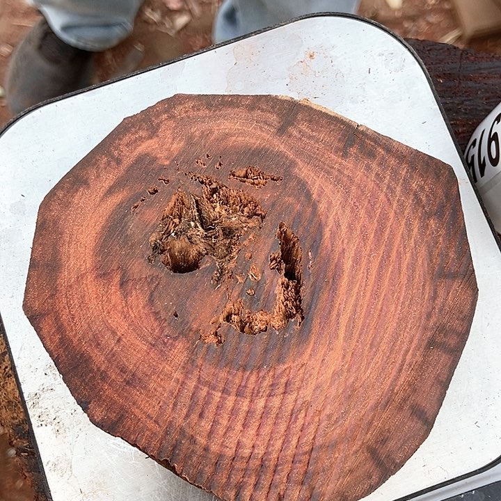 檀香紫檀（小叶紫檀）915