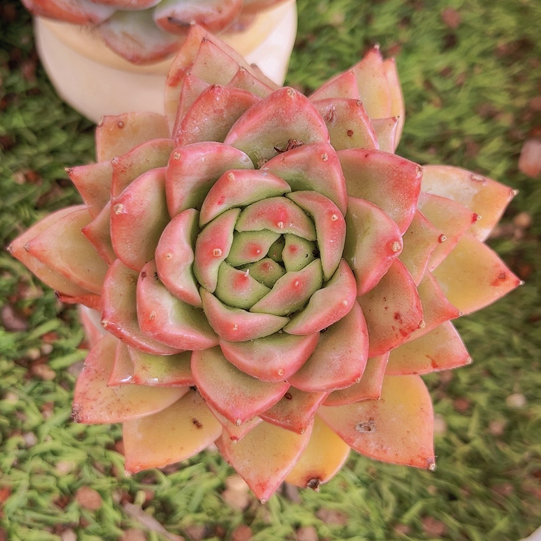 16号87778888888888888