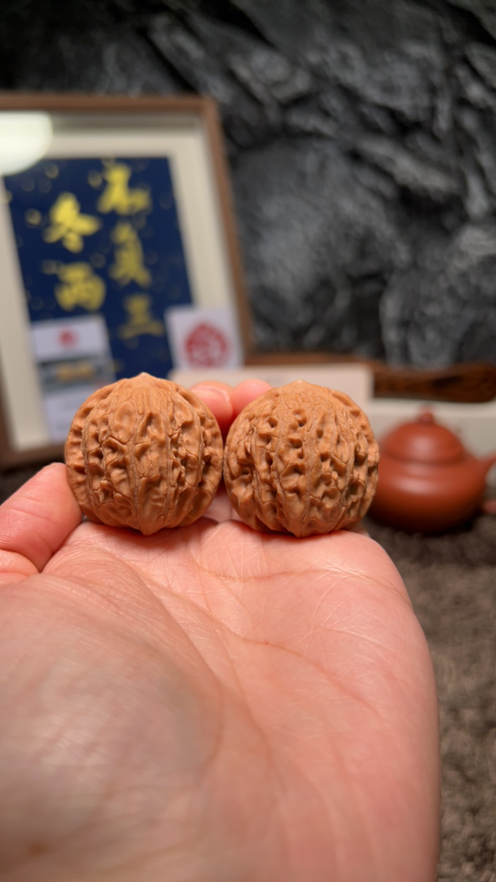 文玩核桃 原树龙胆元宝3635号33.5尺寸