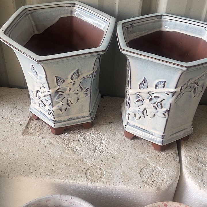 红糖18。。。。18。。。。。。