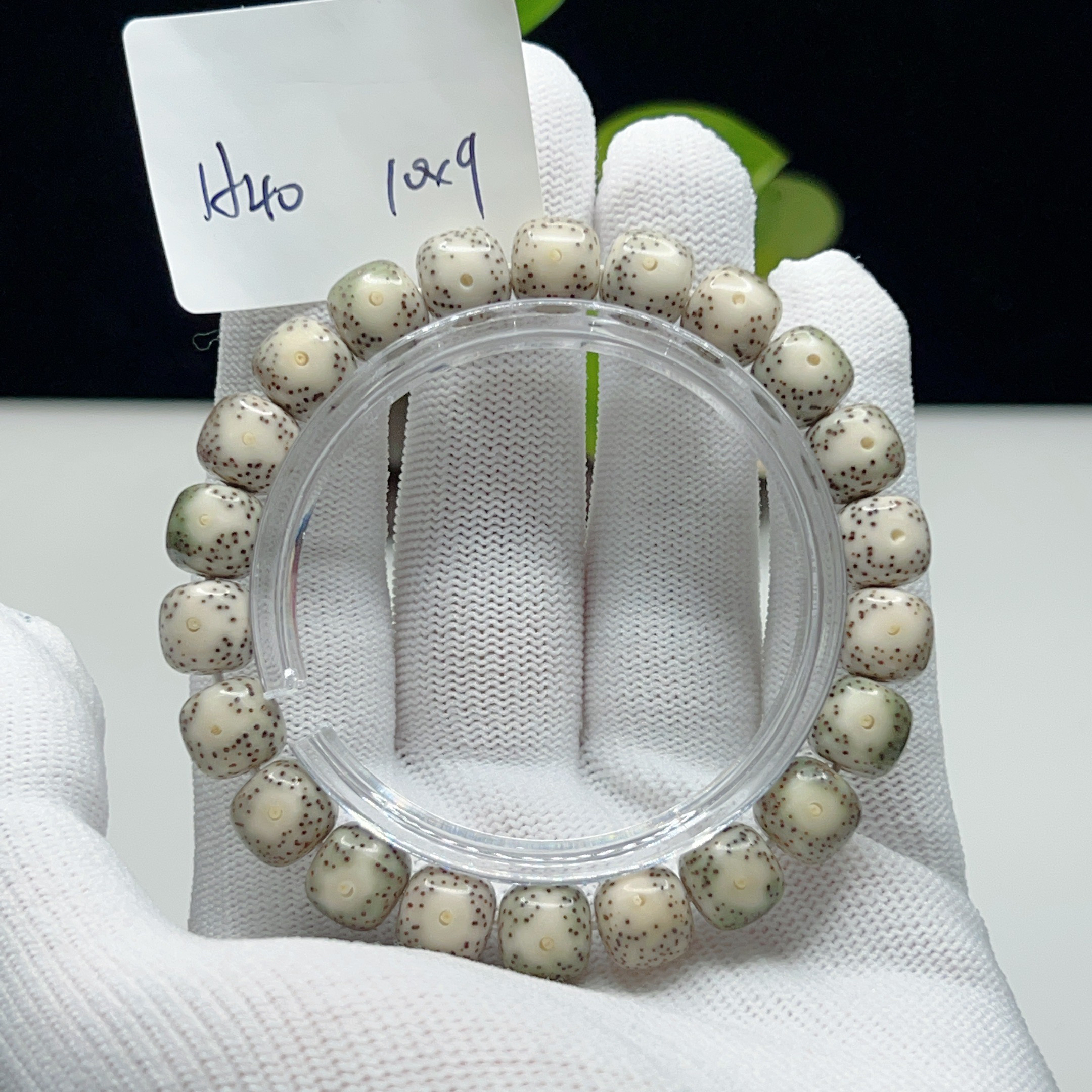 H40黄金瞳10*9正月大留白一物一图星月菩提手串