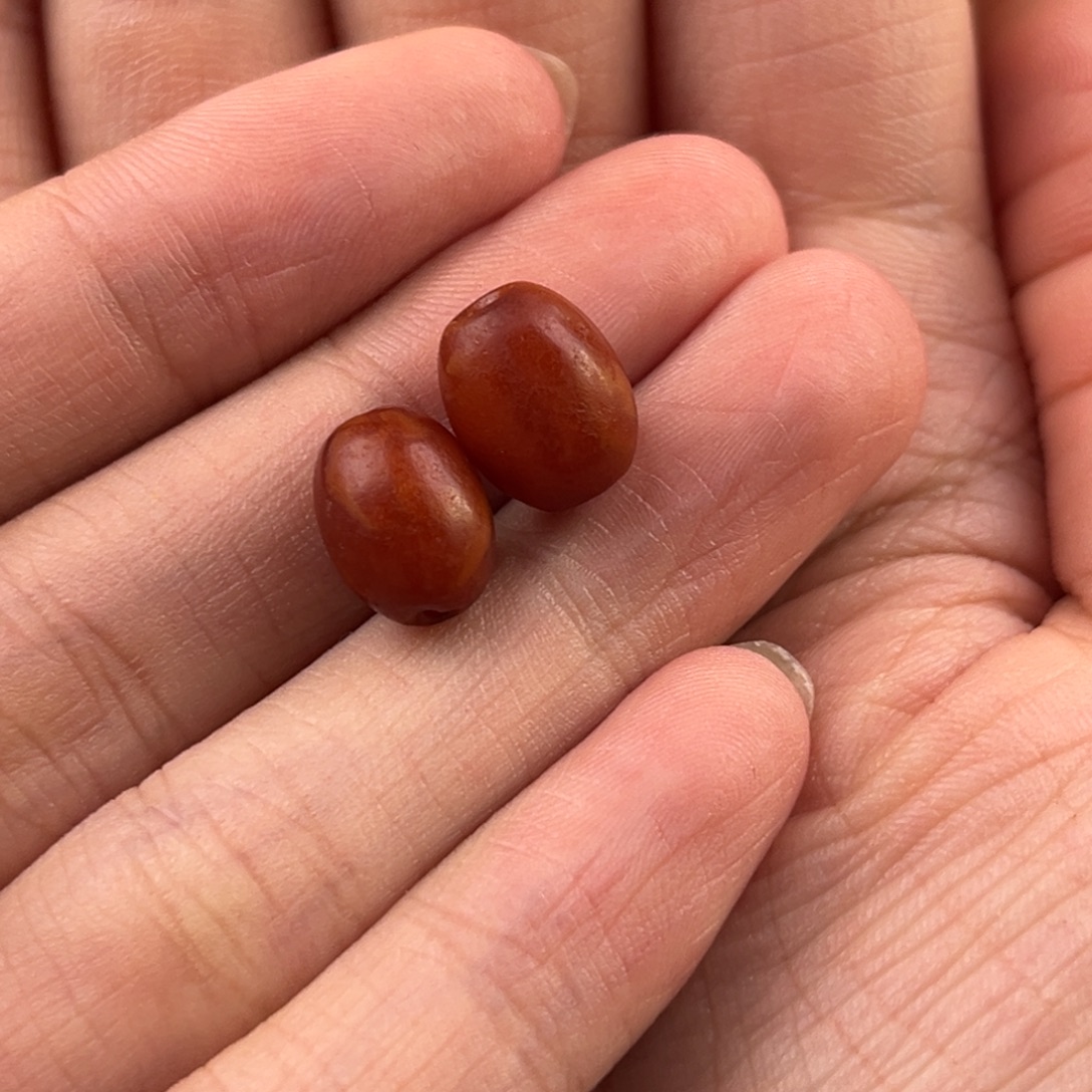 凨***夙蜜蜡颈饰未镶嵌老蜜蜡