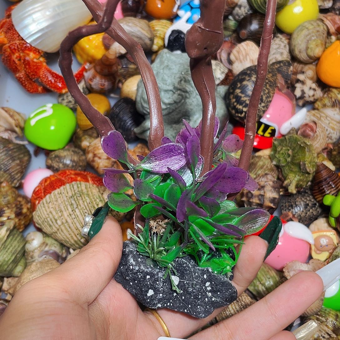 寄居蟹寄居蟹6857