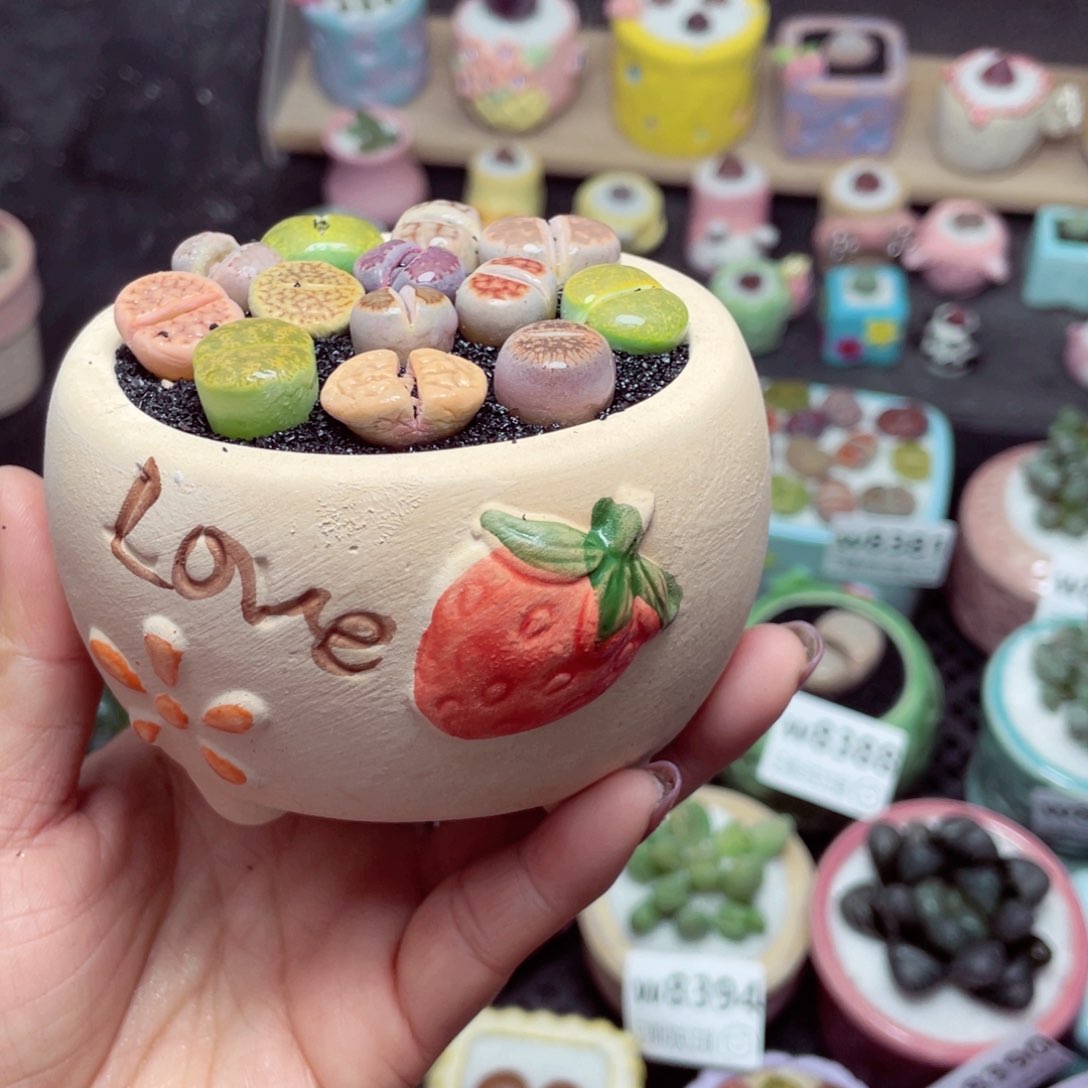 w8501 带盆土发货-零下地区拍保温箱