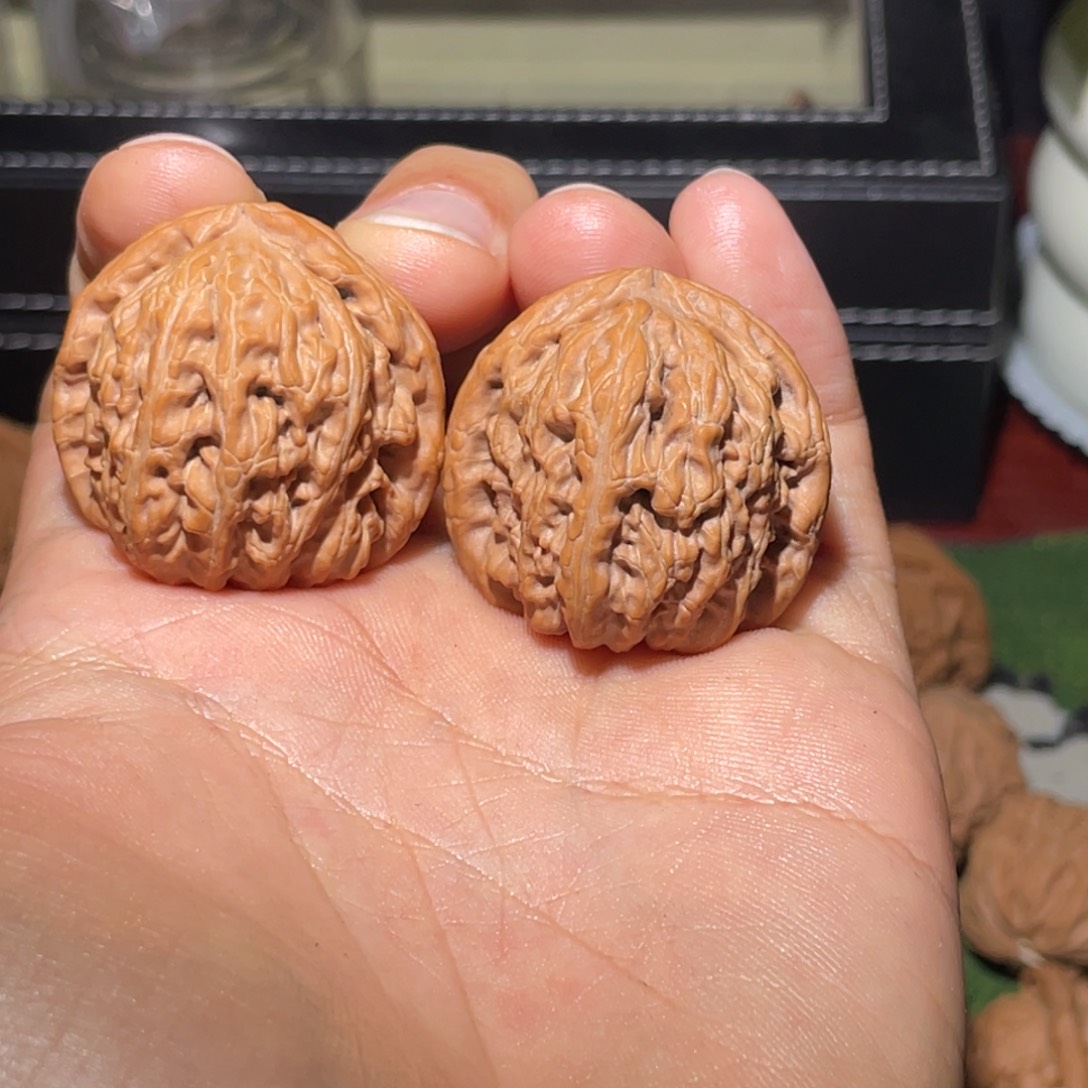 把件文玩核桃35白狮子