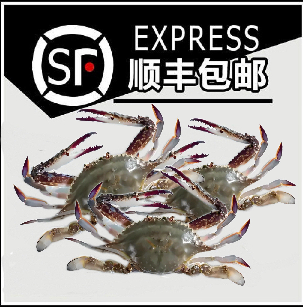 【冬脐套餐】惠来本港杂鱼套餐丰富原产地顺丰冷链包邮送礼佳品