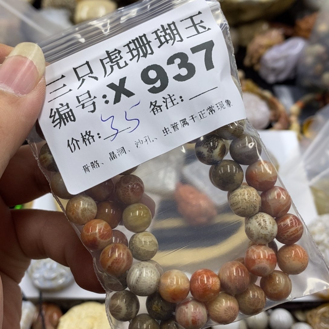 硅化珊瑚（珊瑚玉）X未镶嵌鱼