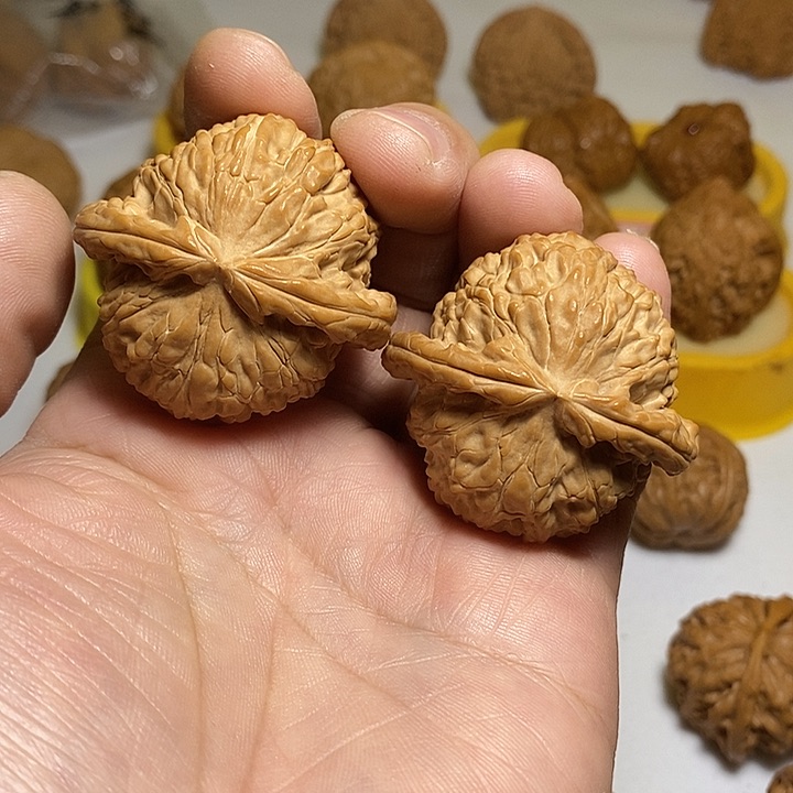 文玩核桃把件不****）45.5尺，全品白狮子