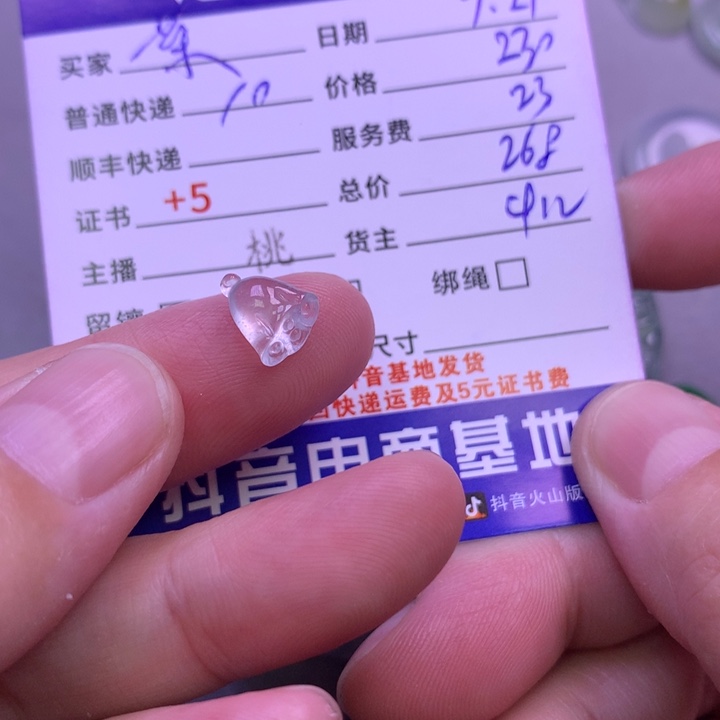 颈饰未镶嵌翡翠菜*?