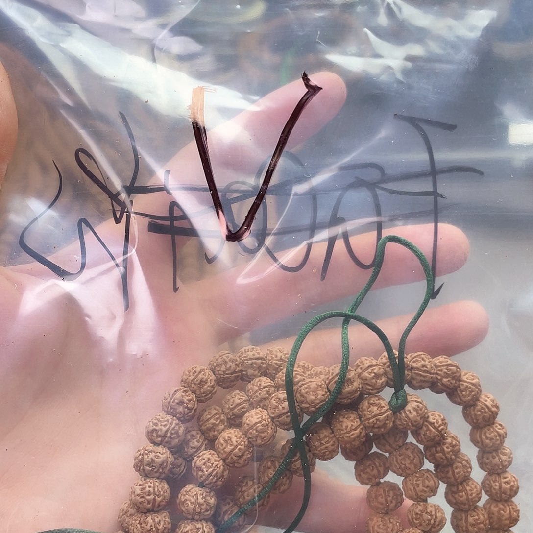 V***金刚菩提吊坠王者南瓜