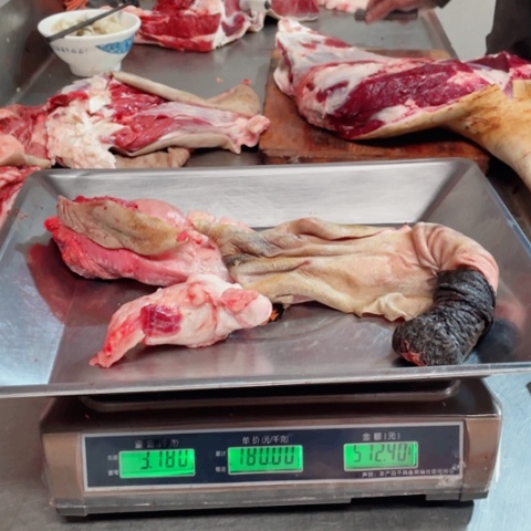 【闪购商品】冷冻保存30天包装河北省