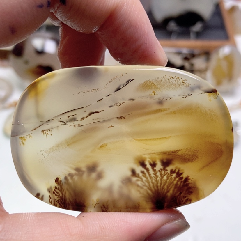 【闪购商品】玛瑙/玉髓颈饰未镶嵌