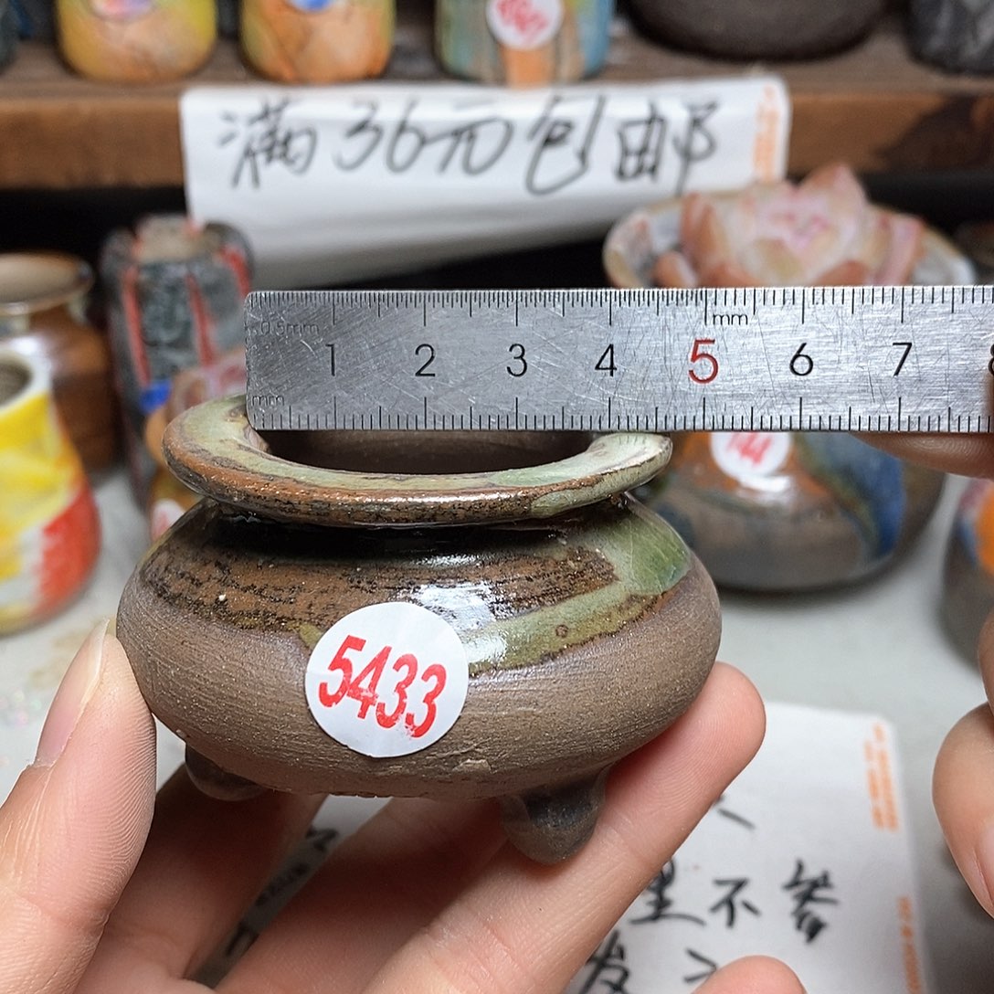 红陶拍5送一个小