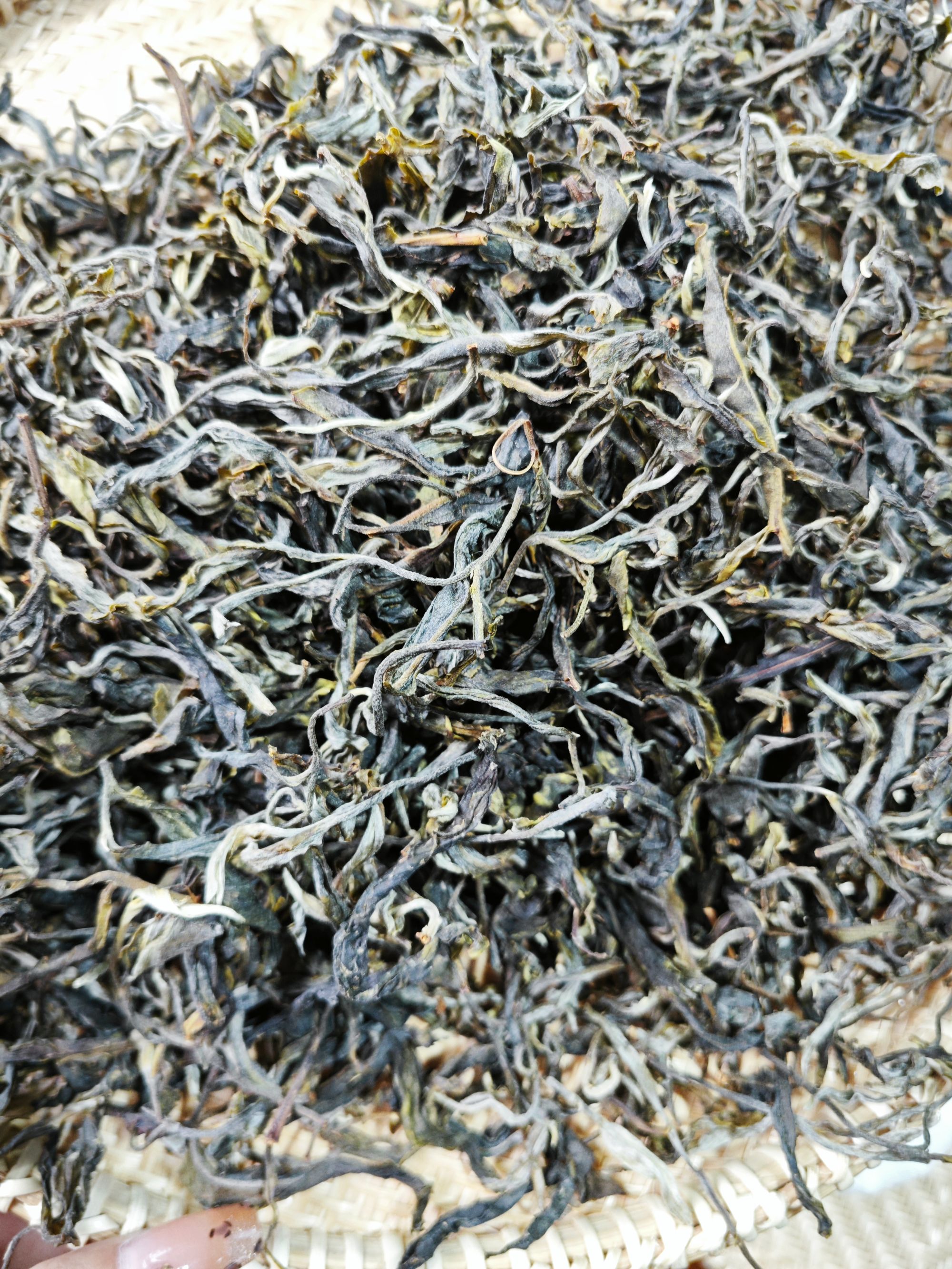 2025年 冰岛后山火山 单株古树头春头采 普洱生茶 散茶