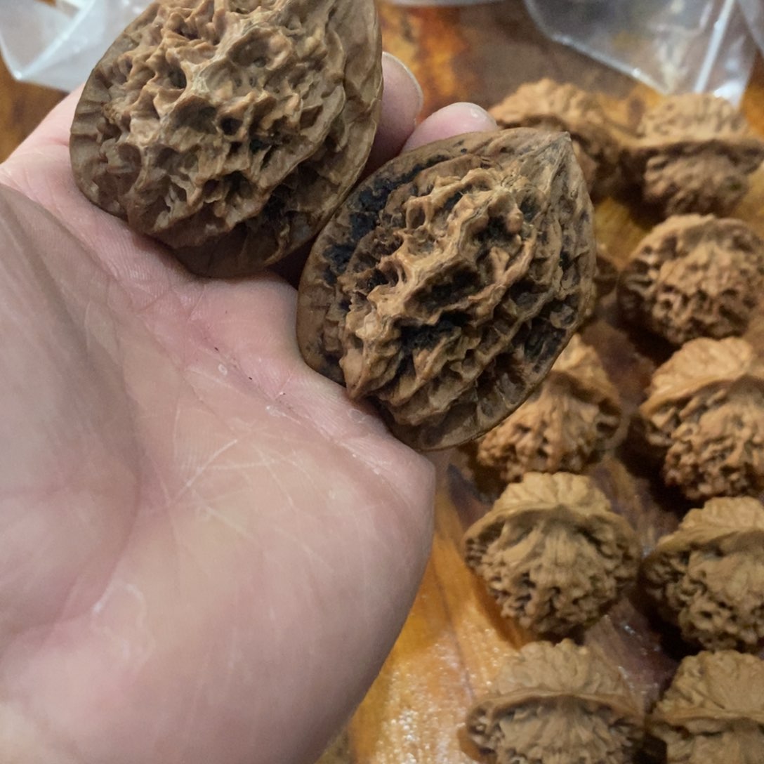 秦岭南侧和东北北部部分