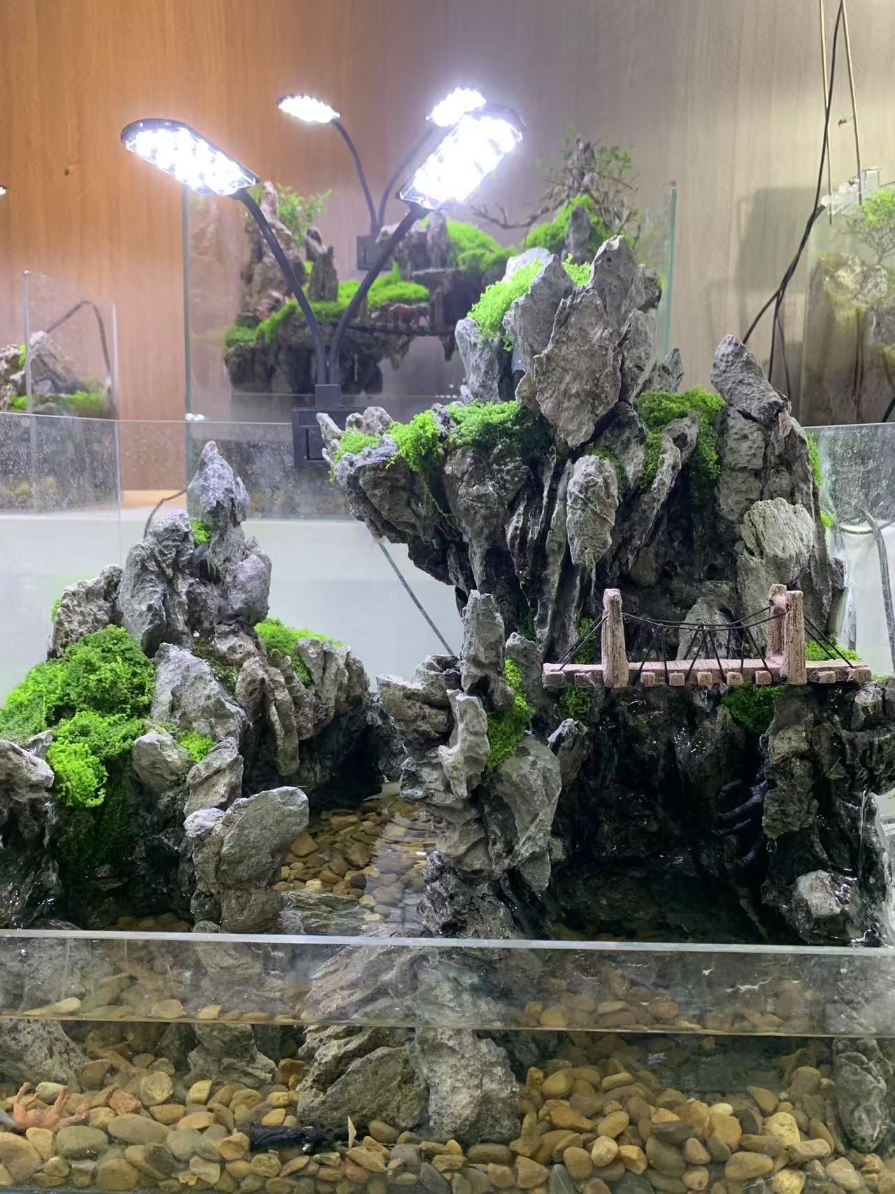 50水陆缸创意微景观山水景观室内装饰景观生态鱼缸桌面造景植物