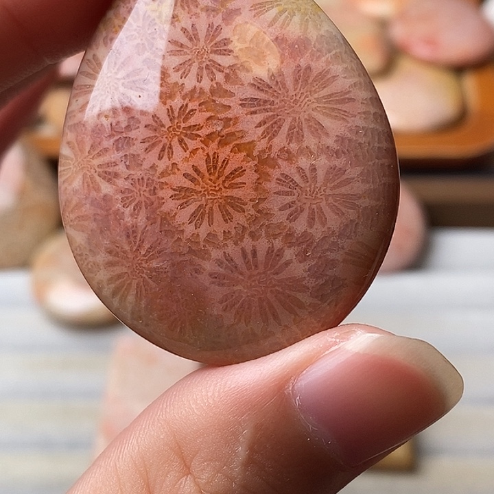 收***鑫硅化珊瑚未镶嵌颈饰