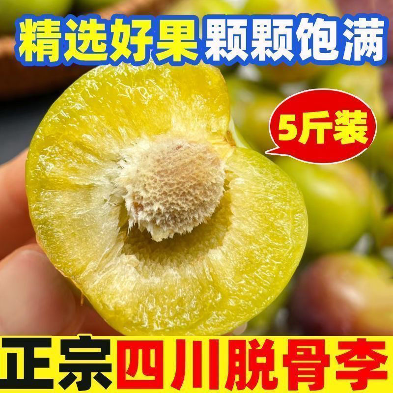 B【开园福利】正宗四川脱骨李  半边红李子 当季新鲜水果新鲜采摘