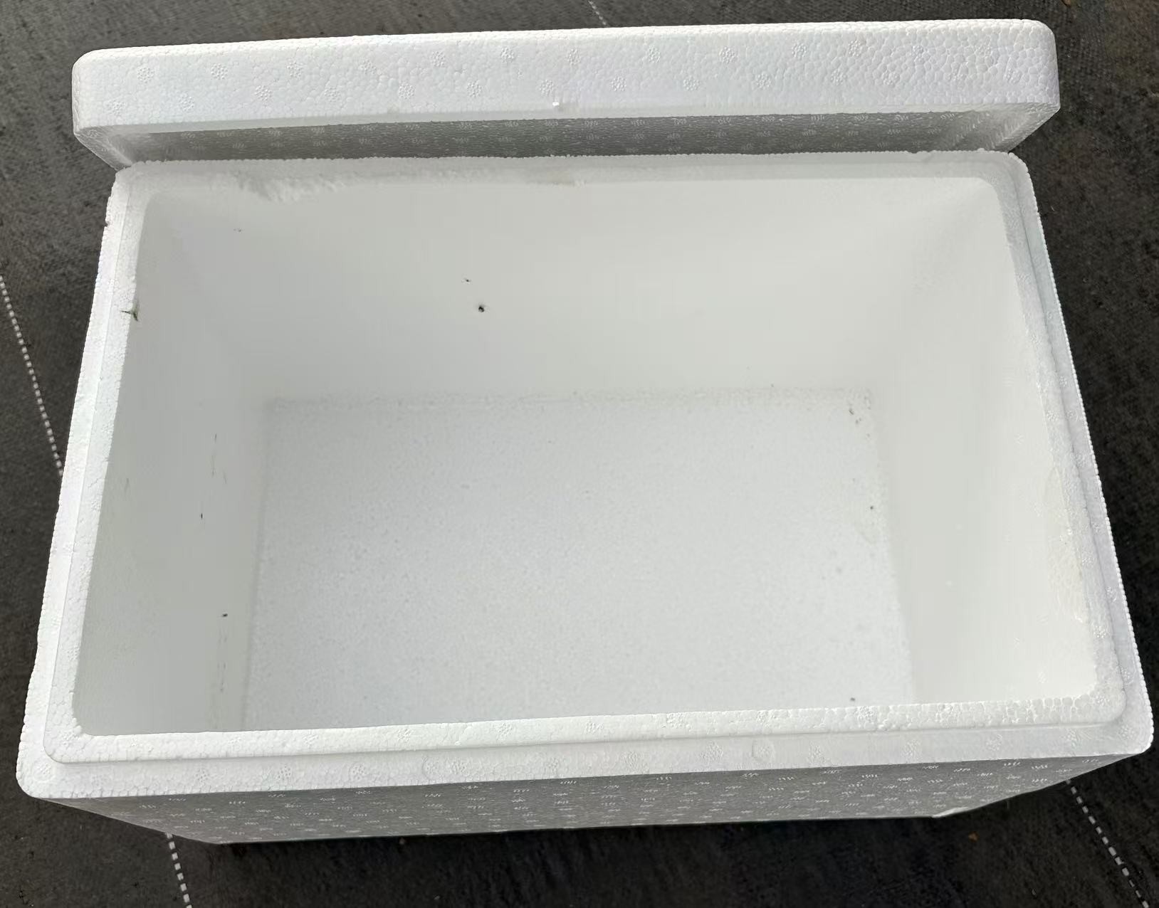 多肉植物零下4-5度拍保温箱发货