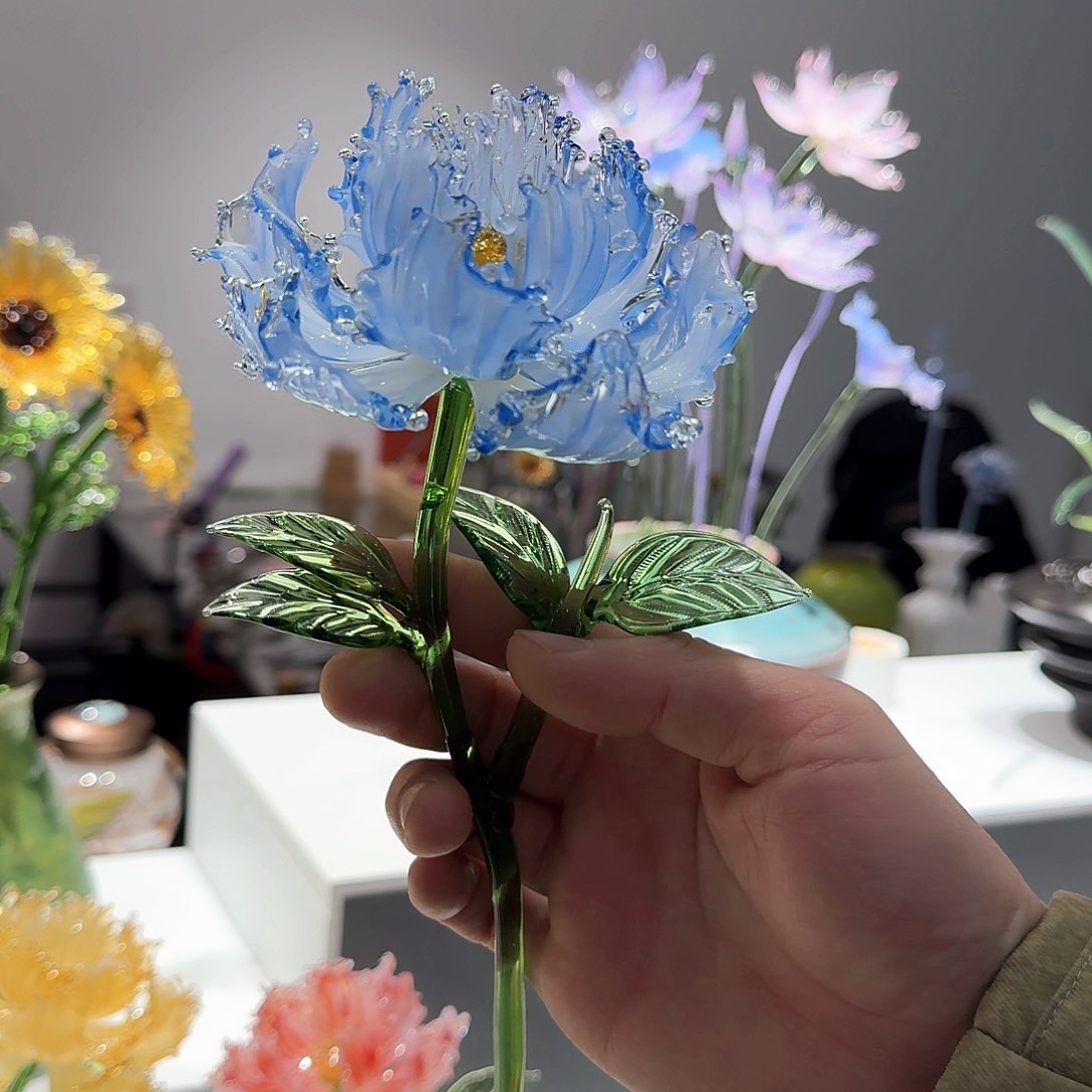 淄博琉璃花11111111111111