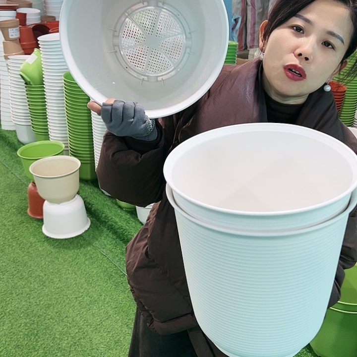 正品高陶口30高31白色无托3只